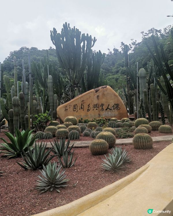 深圳仙湖植物園：非常大的植物園，建議要坐園區的巴士上山頂，由...