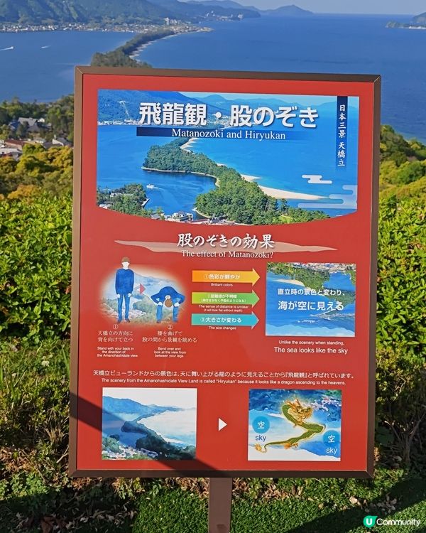 從天橋立View Land看出去的景色，因為很像飛上青天的巨...