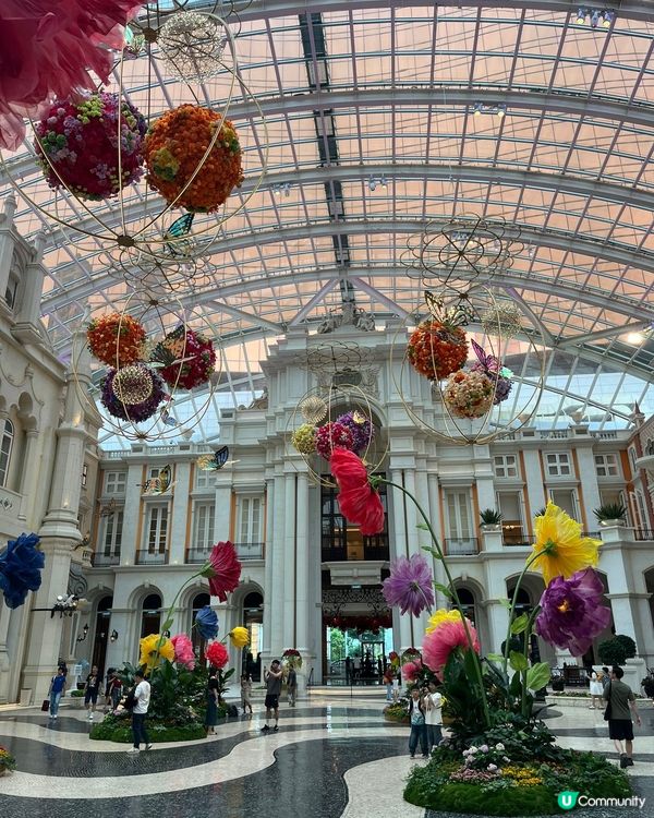 兩張係我最近去嘅旅行，澳門同台灣，另一張係我屋企附近嘅跨灣大...