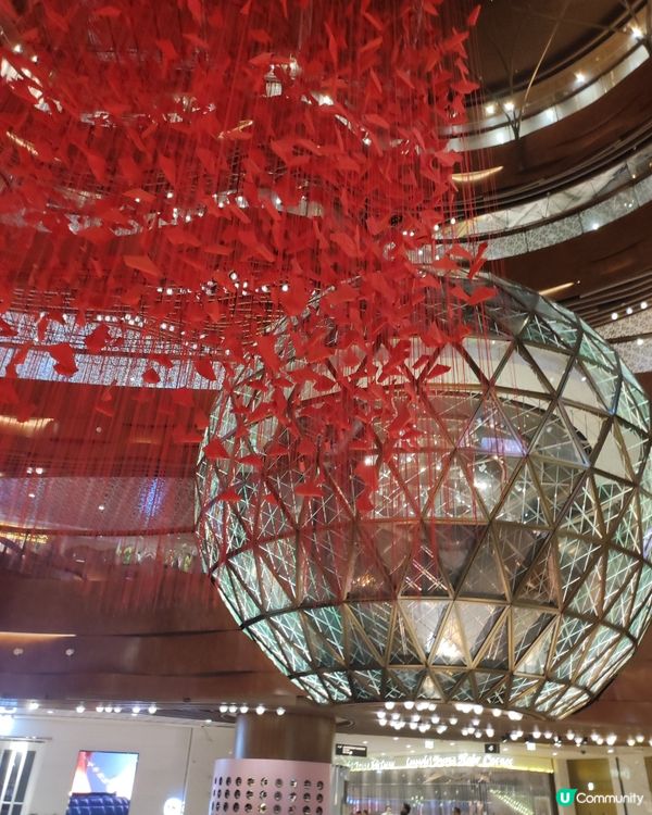 最近去咗星光大道觀光打卡,星光大道有香港特色,遊覽香港係必須...