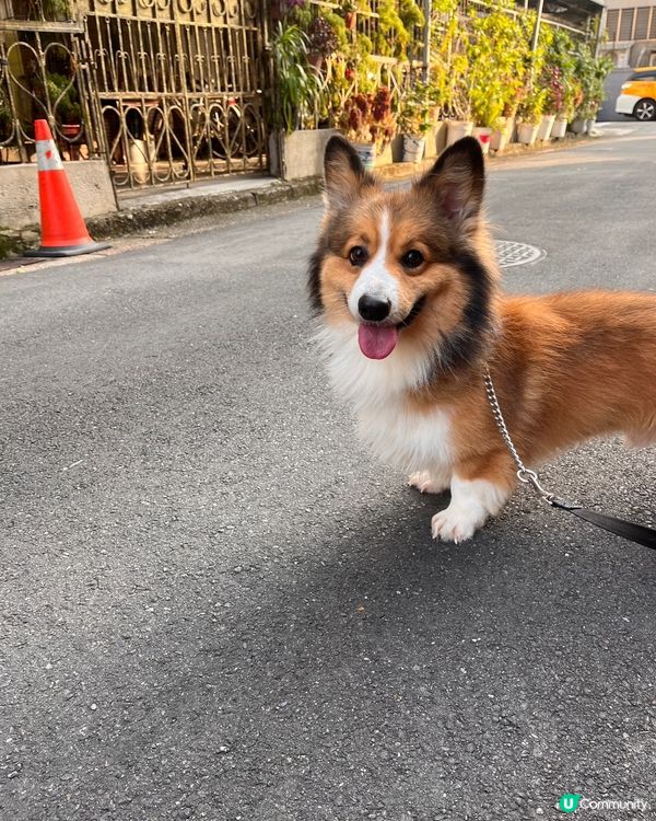 成日笑笑口❤️‍?開心每一天