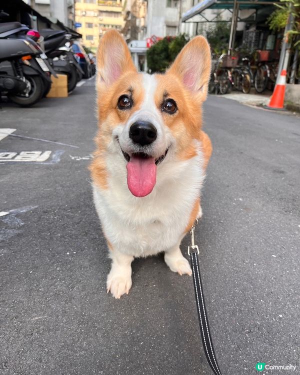 成日笑笑口❤️‍?開心每一天