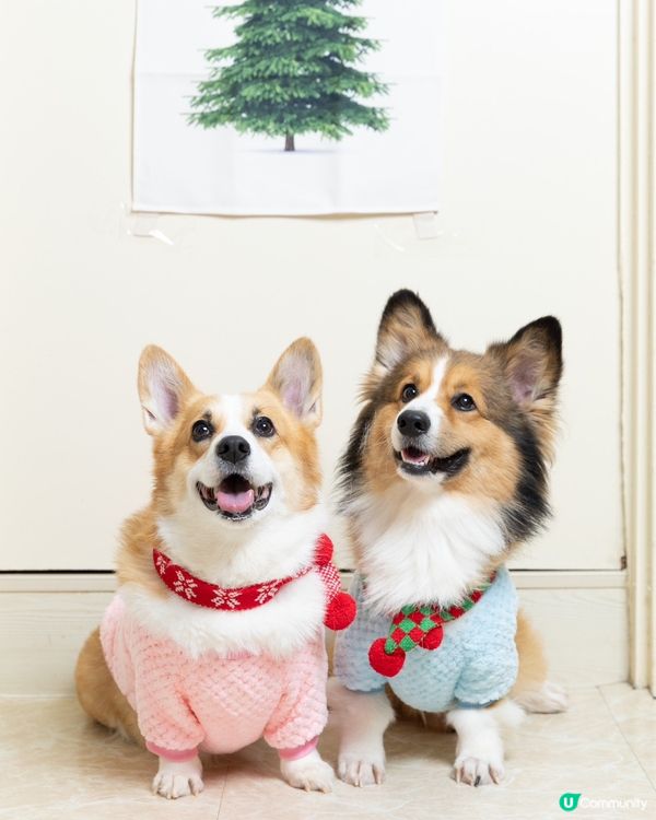 成日笑笑口❤️‍?開心每一天