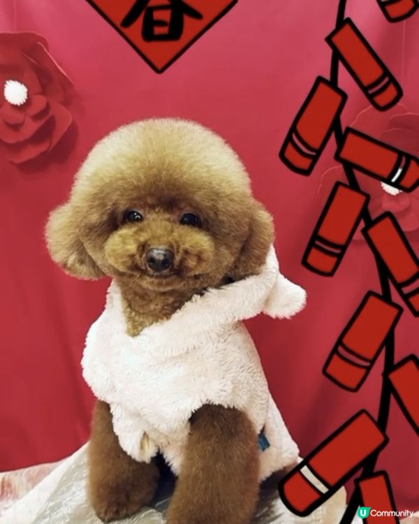 糖糖是糖女！不是港女 ！