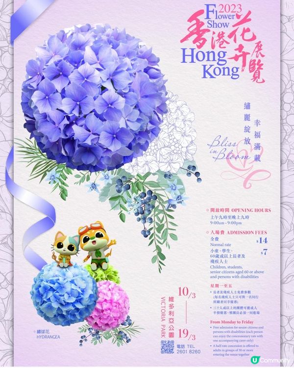 【香港🌸遊】漫天繡球．遍地開花．屯門公園｜文迪．漫遊．慢生活｜