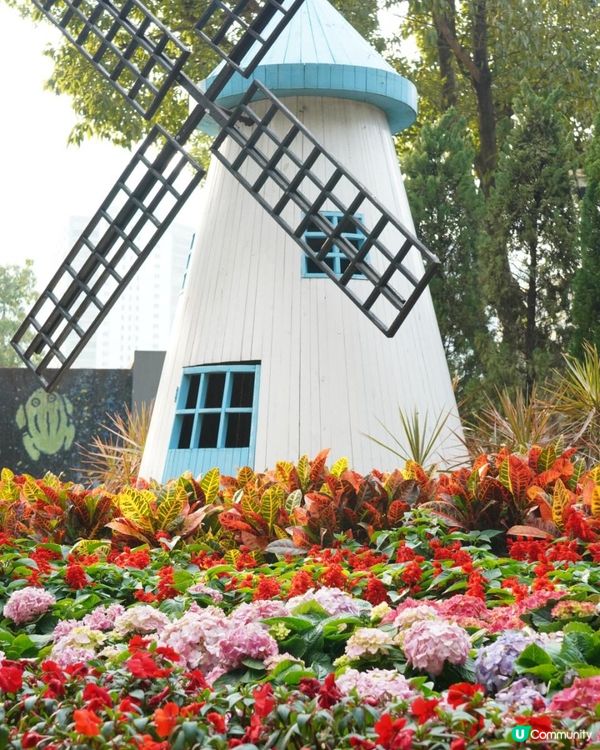 【香港🌸遊】漫天繡球．遍地開花．屯門公園｜文迪．漫遊．慢生活｜