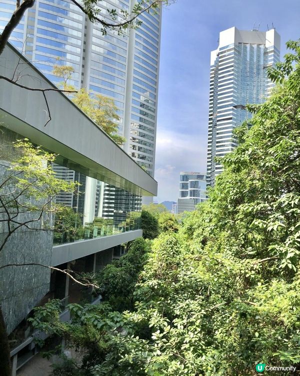 亞洲協會香港中心☘️AMMO下午茶🍎藝術展覽、歷史建築、打卡天橋📸城市綠洲@金鐘