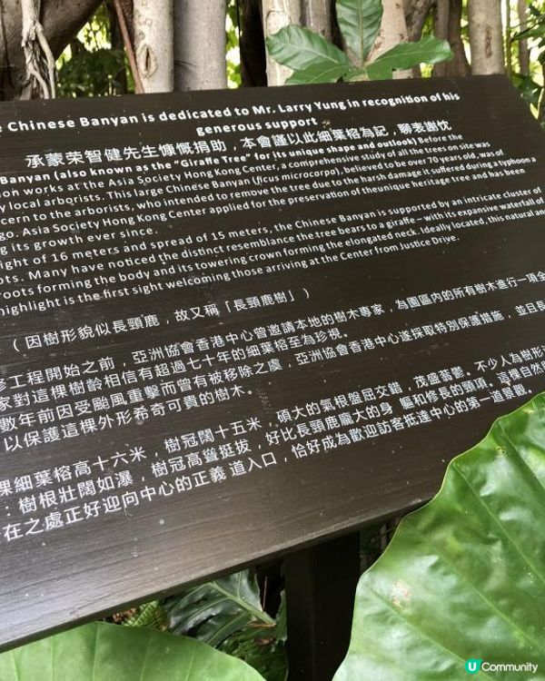 亞洲協會香港中心☘️AMMO下午茶🍎藝術展覽、歷史建築、打卡天橋📸城市綠洲@金鐘