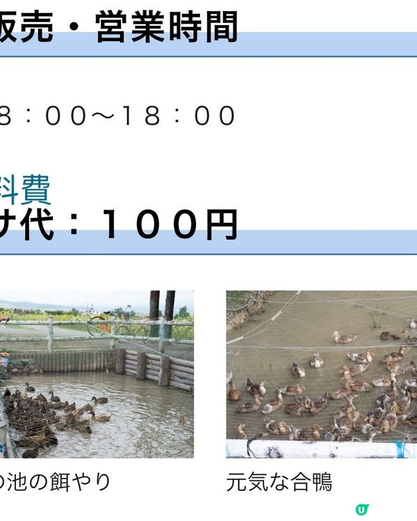 北海道向日葵祭🌻在花海中心呼喚愛😆