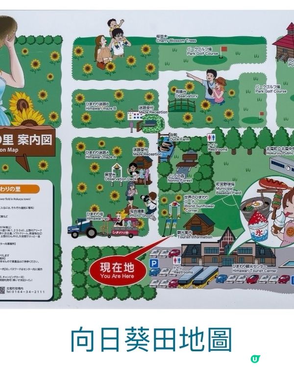 北海道向日葵祭🌻在花海中心呼喚愛😆