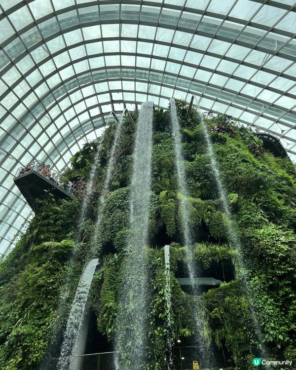 【復仇者聯盟又飛啦】新加坡自由行6天2023 | 全世界生活成本冧巴瘟嘅城市 | 新加坡無聊遊 | 再去新加坡因爲打新冠疫苗抽獎送免費機票㗎咋 | Silk Sonic-Put on a smile