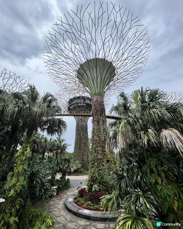 【復仇者聯盟又飛啦】新加坡自由行6天2023 | 全世界生活成本冧巴瘟嘅城市 | 新加坡無聊遊 | 再去新加坡因爲打新冠疫苗抽獎送免費機票㗎咋 | Silk Sonic-Put on a smile