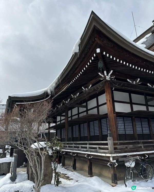 超多打卡位 🇯🇵飛驒古川古街🇯🇵