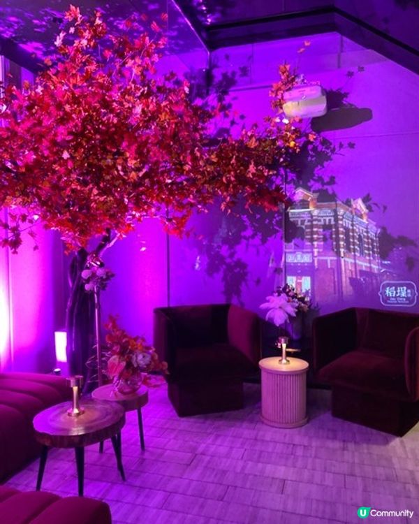 🍁紅葉下的浪漫晚餐│稻埕飯店 (銅鑼灣)