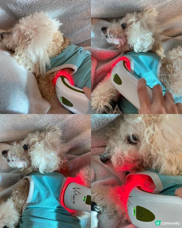 家用寵物護理光療儀Photizo Vetcare