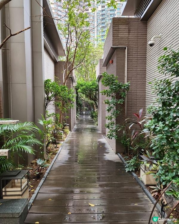 最想收到的情人節禮物 – ELEEELS S2熱石按摩棒套裝