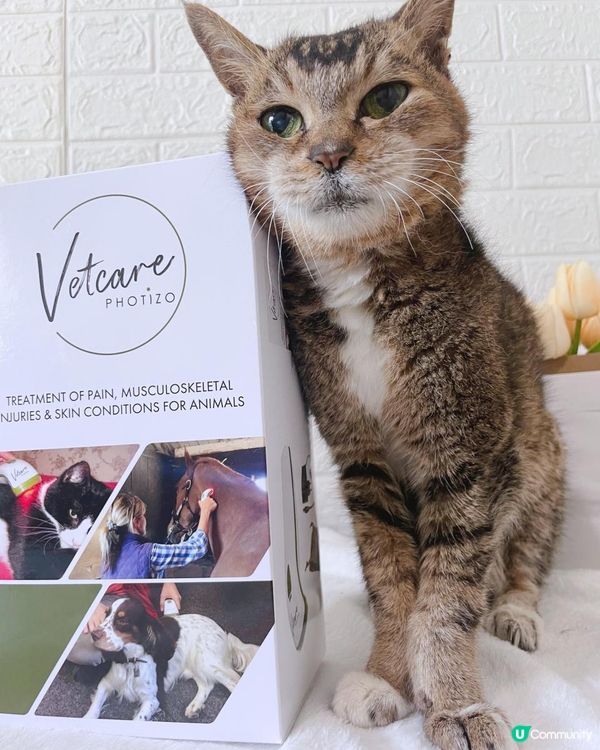 【年長毛孩家居必備】貓狗保健護理！Photizo Vetcare 家用寵物護理光療儀～紅光治療皮膚病&關節炎