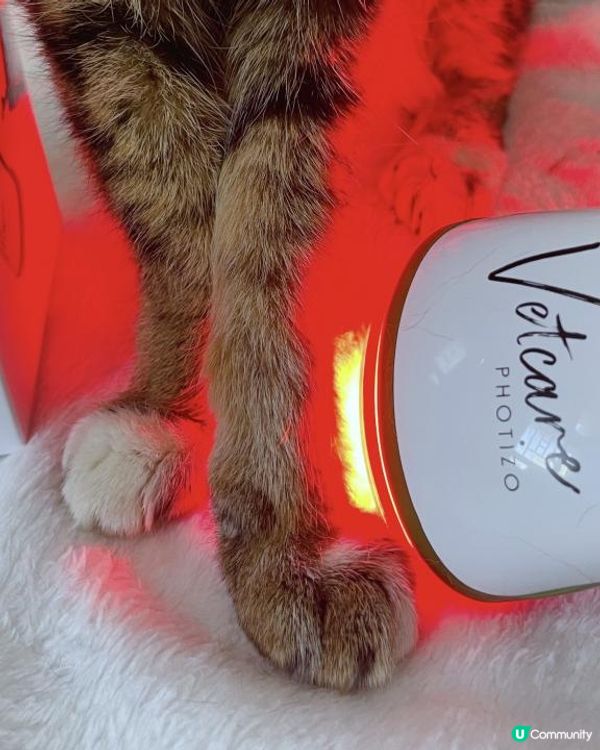 【年長毛孩家居必備】貓狗保健護理！Photizo Vetcare 家用寵物護理光療儀～紅光治療皮膚病&關節炎