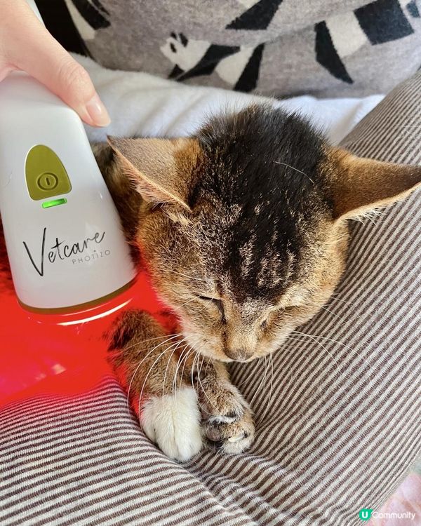 【年長毛孩家居必備】貓狗保健護理！Photizo Vetcare 家用寵物護理光療儀～紅光治療皮膚病&關節炎