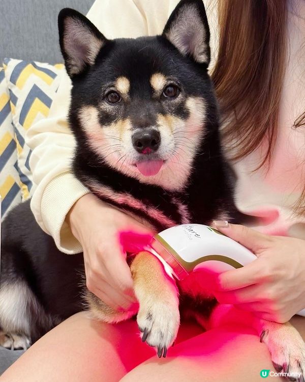 毛孩痛症/皮膚保養及治療丨Photizo™ Vetcare光療儀(內附優惠碼)
