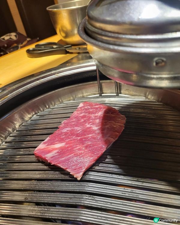 正式轉名的韓脈