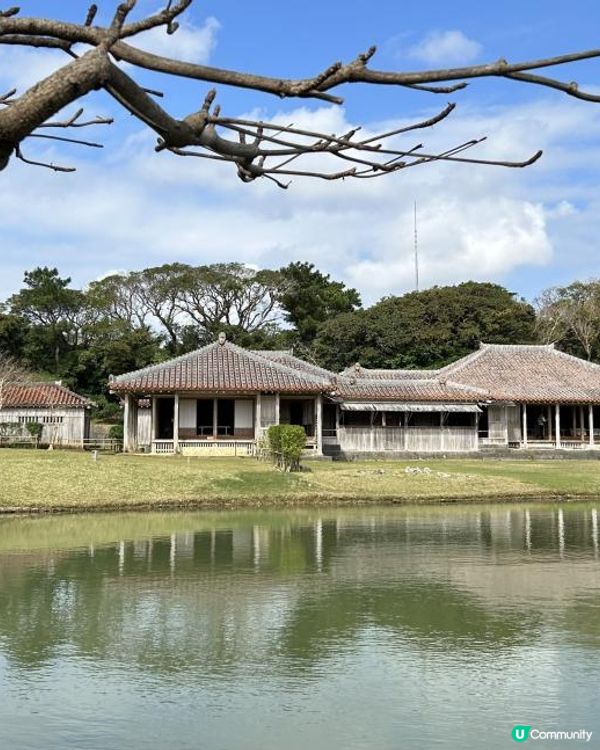 🐆豹紋魚🐟2023沖繩自駕遊｜南部景點：識名園、Ashibinaa Outlet、系滿魚市場 (海鮮食堂金槍魚解體表演)