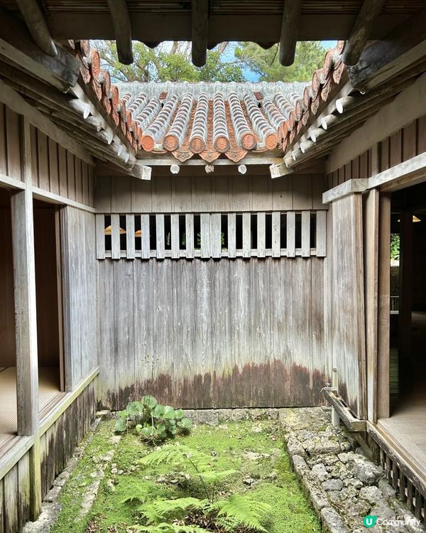 🐆豹紋魚🐟2023沖繩自駕遊｜南部景點：識名園、Ashibinaa Outlet、系滿魚市場 (海鮮食堂金槍魚解體表演)