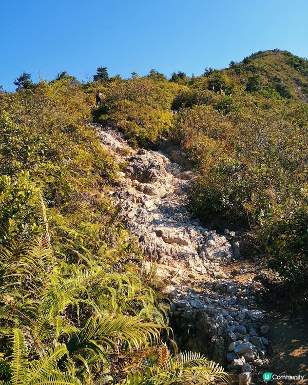 [跟我走。香港三尖] 2 - 蚺蛇尖。米粉頂