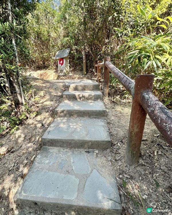 渣甸山一個半小時遠足｜欣賞維港兩岸景致｜踏足「懸空棧道」