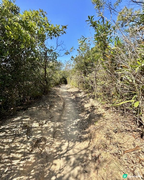 渣甸山一個半小時遠足｜欣賞維港兩岸景致｜踏足「懸空棧道」