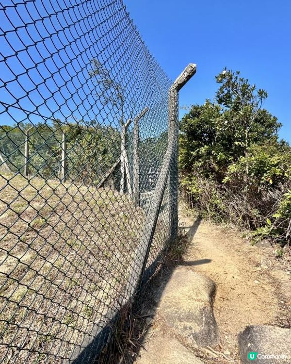 渣甸山一個半小時遠足｜欣賞維港兩岸景致｜踏足「懸空棧道」