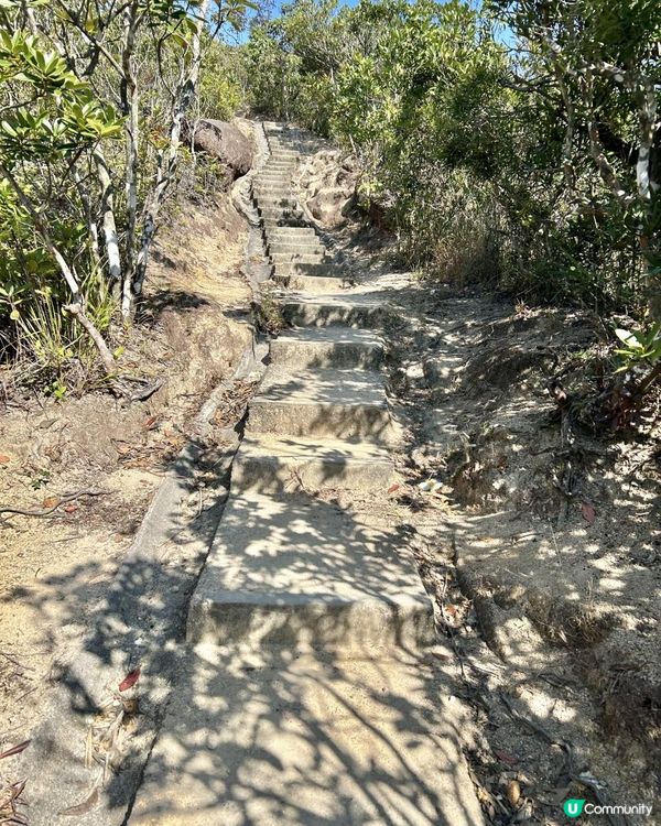 渣甸山一個半小時遠足｜欣賞維港兩岸景致｜踏足「懸空棧道」