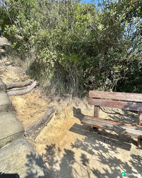 渣甸山一個半小時遠足｜欣賞維港兩岸景致｜踏足「懸空棧道」