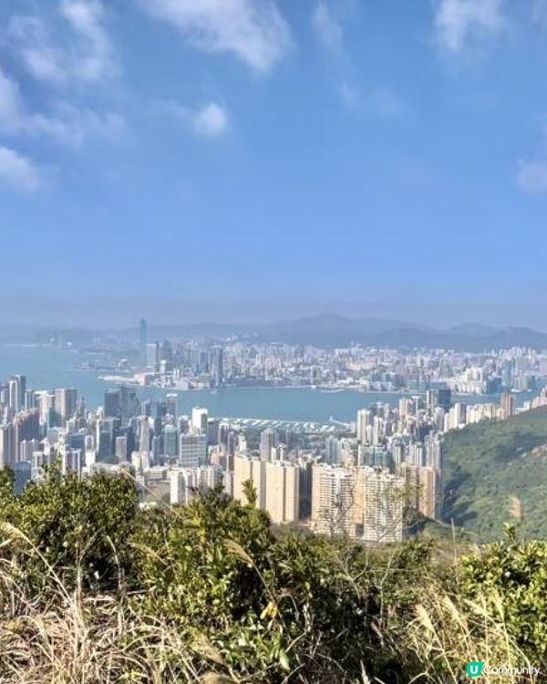 渣甸山一個半小時遠足｜欣賞維港兩岸景致｜踏足「懸空棧道」