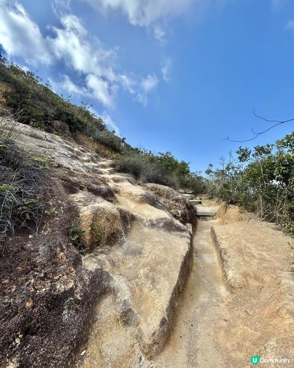 渣甸山一個半小時遠足｜欣賞維港兩岸景致｜踏足「懸空棧道」