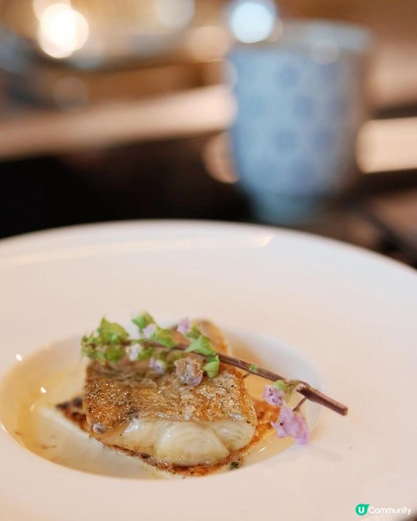 【美食】高CP值和牛海鮮鐵板燒