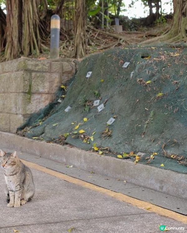[ 親子好去處 ] 宮崎駿城堡的行山徑