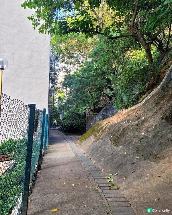 [ 親子好去處 ] 宮崎駿城堡的行山徑