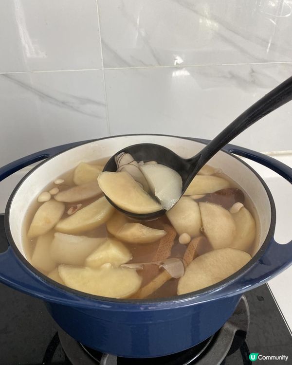 蘋果雪梨煲海底椰