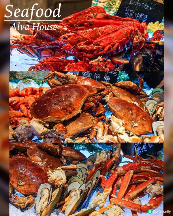 《🧨2023 Buffet頭炮🧧3.5鐘食盡龍蝦生蠔甜品》