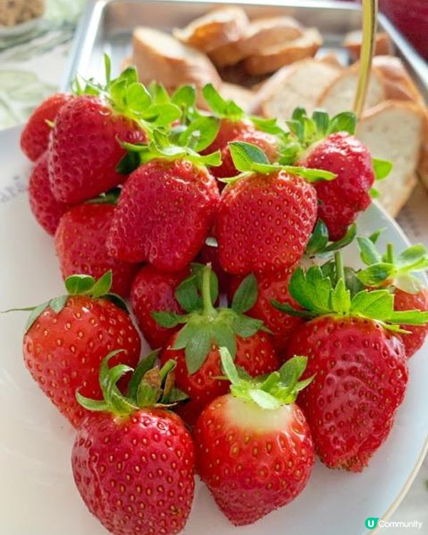 小朋友最愛！郊遊兼摘士多啤梨🍓