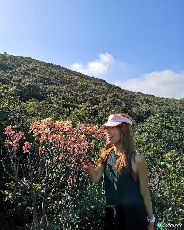 [行山要打卡]33 - 大枕蓋