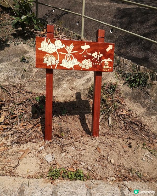 [行山要打卡]33 - 大枕蓋