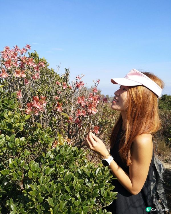 [行山要打卡]33 - 大枕蓋