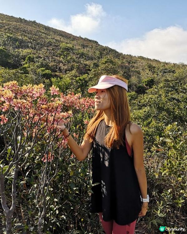 [行山要打卡]33 - 大枕蓋