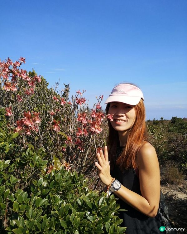 [行山要打卡]33 - 大枕蓋