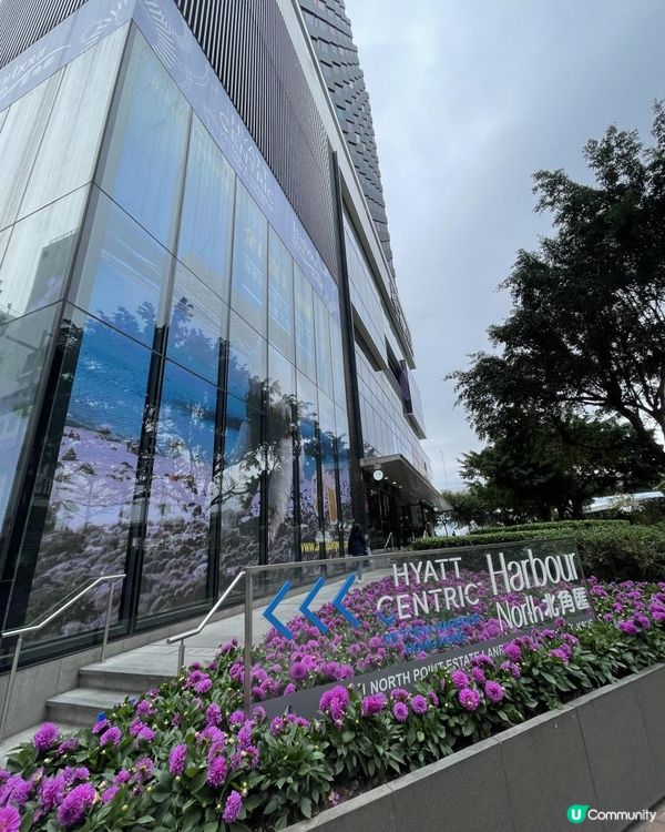 😍 新登埸•半仼食下午茶