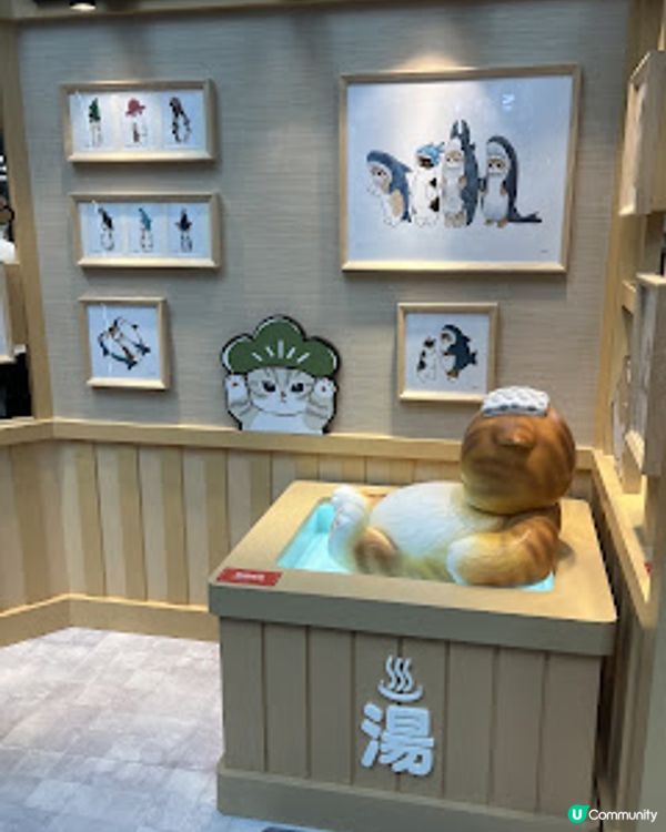 打卡熱點。貓奴必到