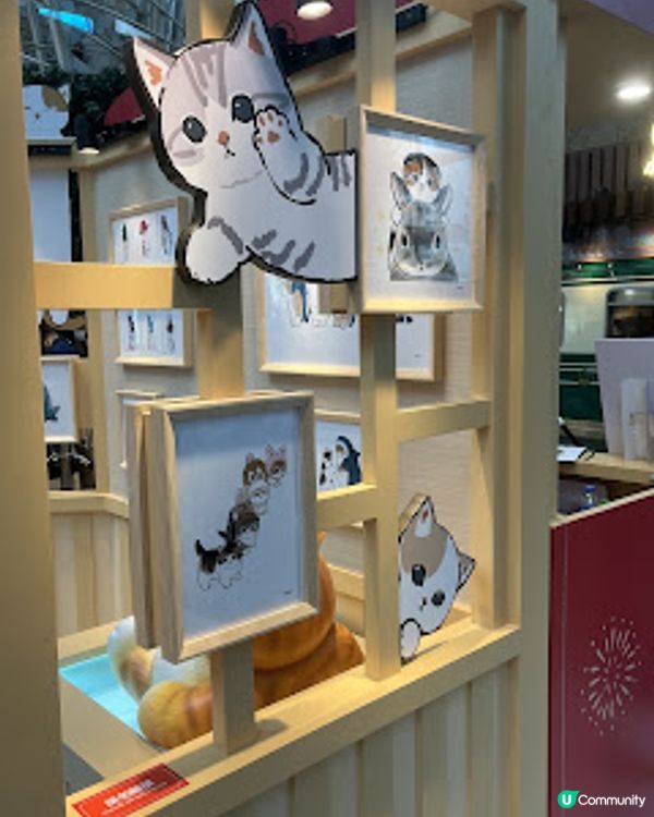 打卡熱點。貓奴必到