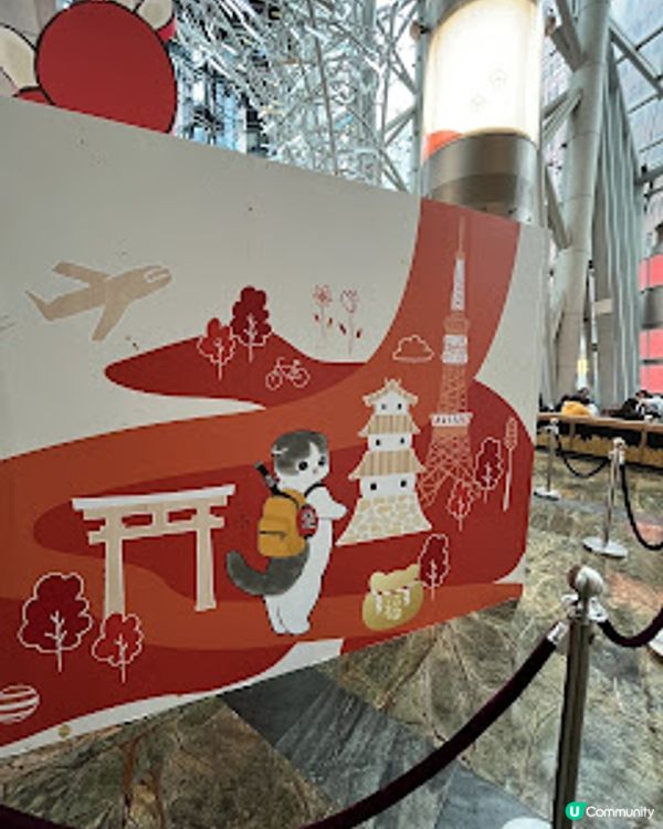 打卡熱點。貓奴必到